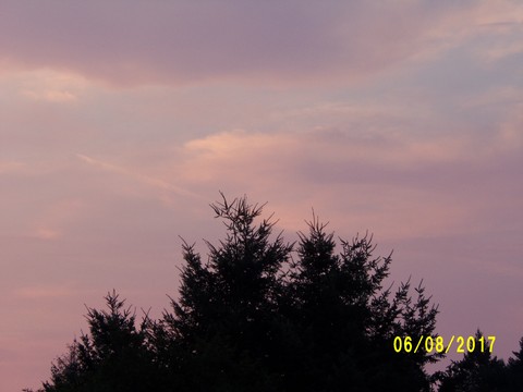 100_2179.JPG