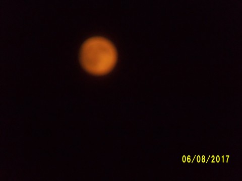 100_2185.JPG