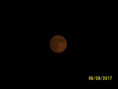 100_2186.JPG