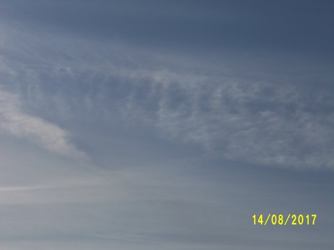 100_2516.JPG