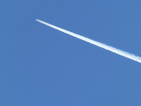100_0217.JPG