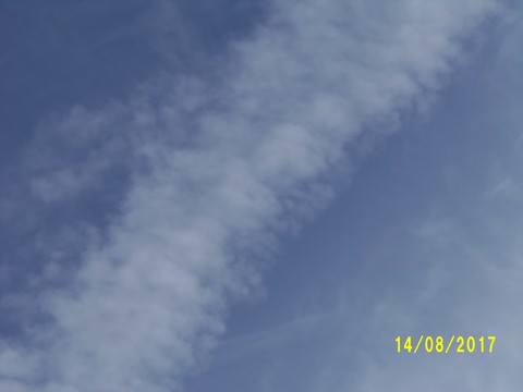 100_2520.JPG