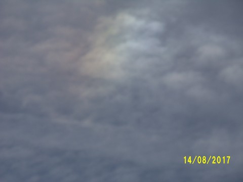 100_2521.JPG