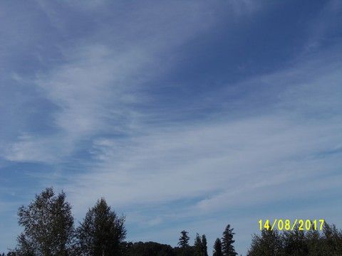 100_2528.JPG