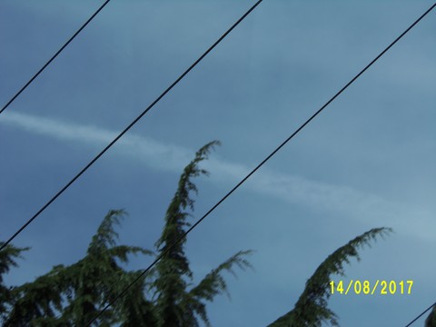 100_2529.JPG