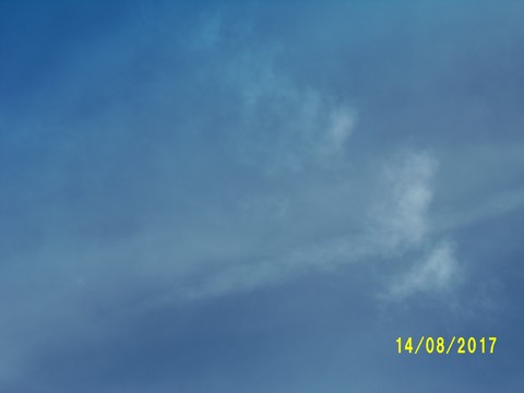 100_2530.JPG