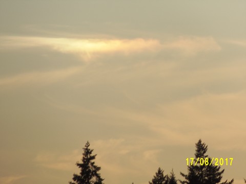 100_2689.JPG