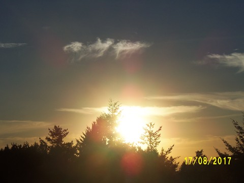 100_2693.JPG