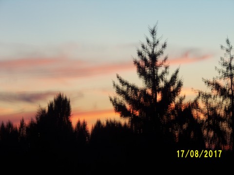 100_2713.JPG