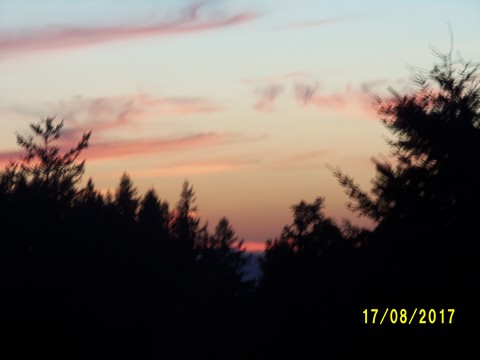 100_2717.JPG