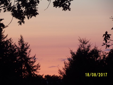 100_2753.JPG