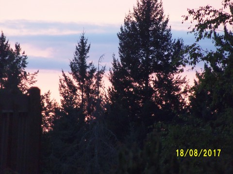 100_2755.JPG