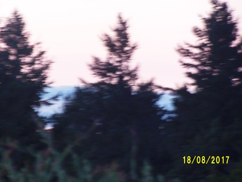 100_2757.JPG