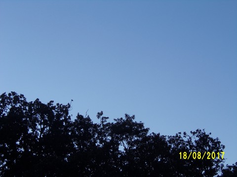 100_2749.JPG