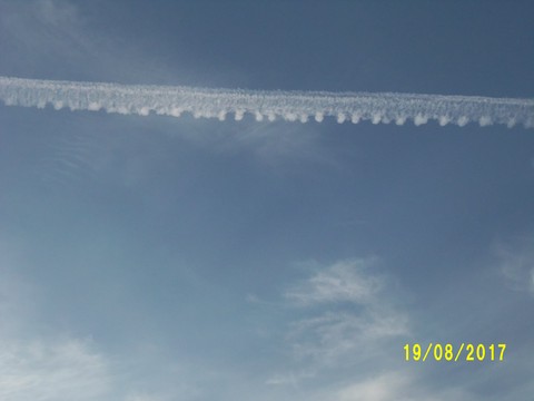 100_2771.JPG