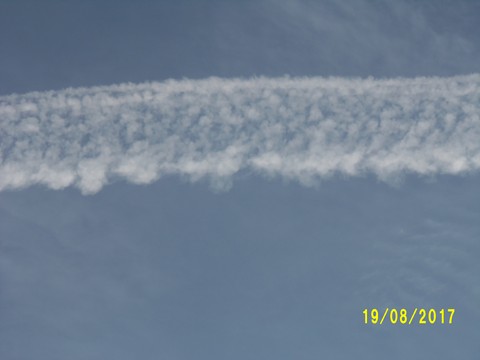 100_2776.JPG