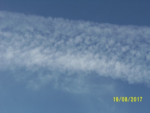 100_2780.JPG