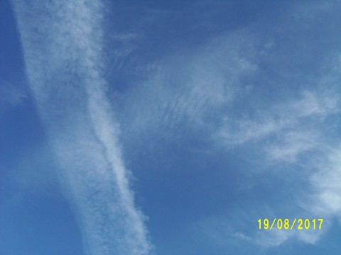 100_2787.JPG