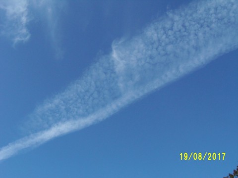 100_2788.JPG