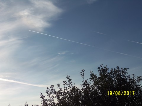 100_2783.JPG
