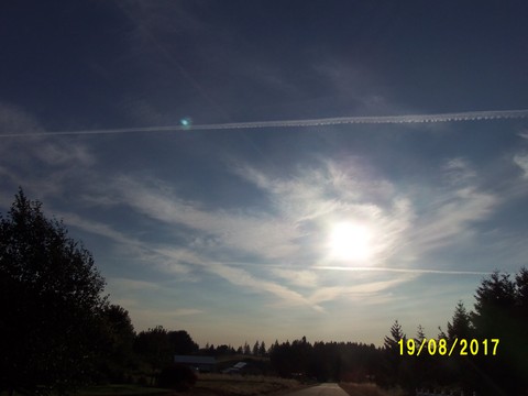 100_2770.JPG