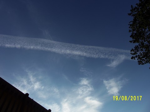 100_2781.JPG