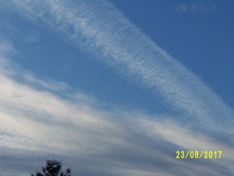100_2807.JPG
