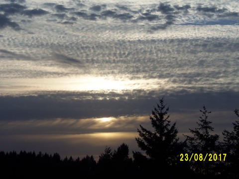100_2809.JPG