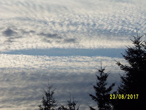 100_2813.JPG
