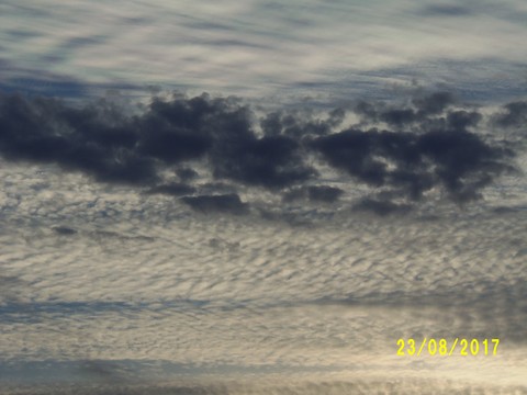 100_2818.JPG