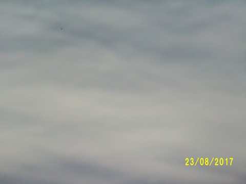 100_2817.JPG