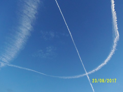 100_2823.JPG