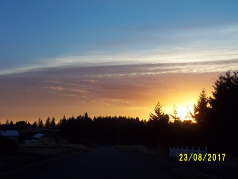 100_2825.JPG