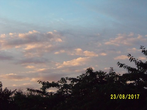 100_2826.JPG