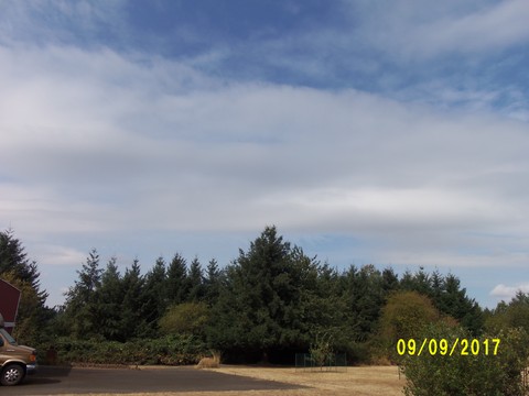 100_2889.JPG