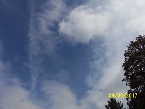100_2890.JPG