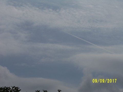 100_2891.JPG