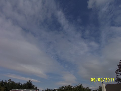100_2894.JPG