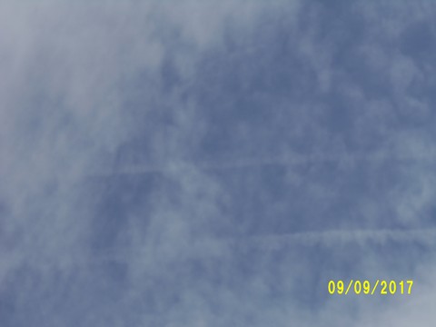 100_2899.JPG