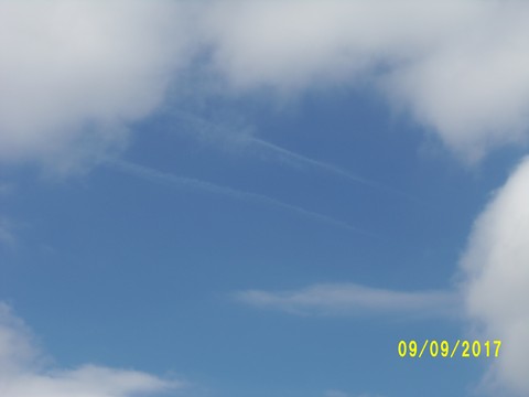 100_2911.JPG