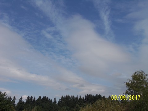 100_2888.JPG