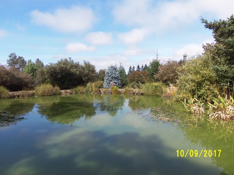 100_2917.JPG