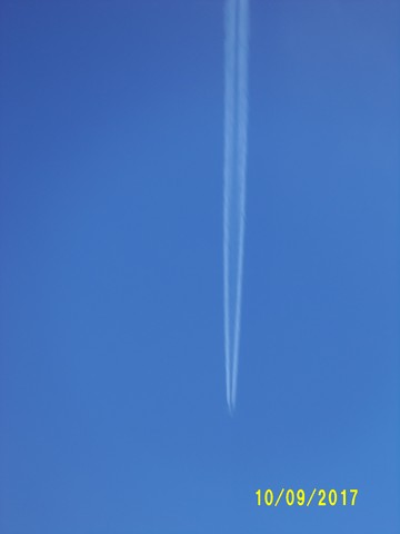 100_2924.JPG
