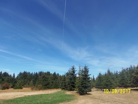 100_2926.JPG