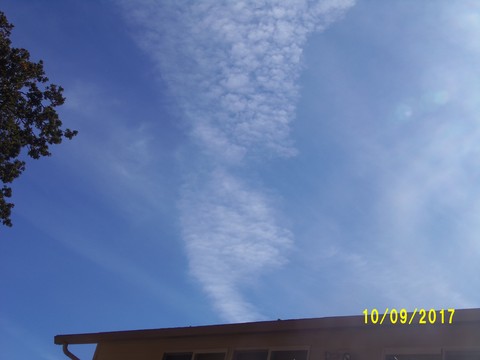 100_2951.JPG