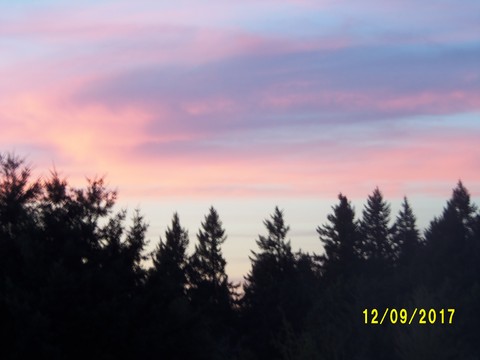 100_3005.JPG