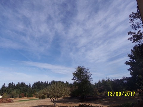 100_3009.JPG