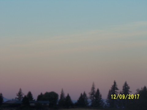 100_2984.JPG