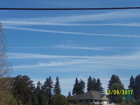 100_3033.JPG