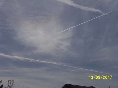 100_3021.JPG